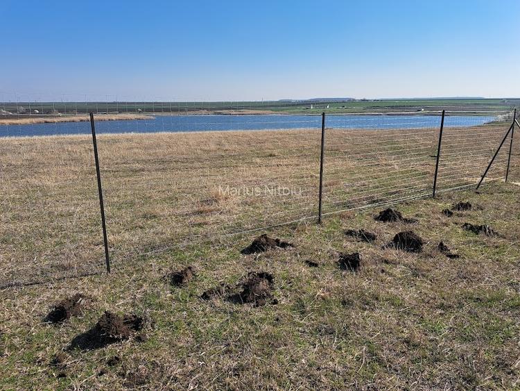 Teren intravilan 600 mp – pentru casă sau escapade de weekend, 35 km Bucuresti - 2