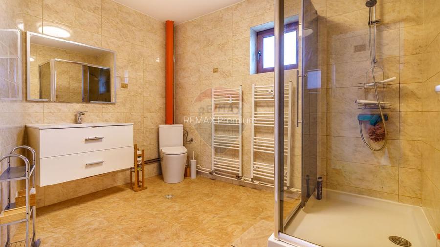 Teren 9.42 ha extravilan + casa 230 mp, COMISION 0% - 16