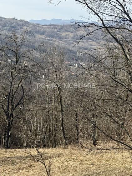 Teren intravilan 2788 mp deschidere 55 ml cu vedere panoramica ! - 18