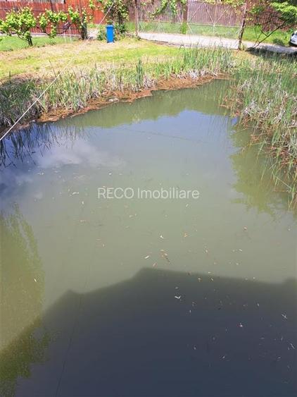 Cabana pe apa in Padurea Neagra - 18