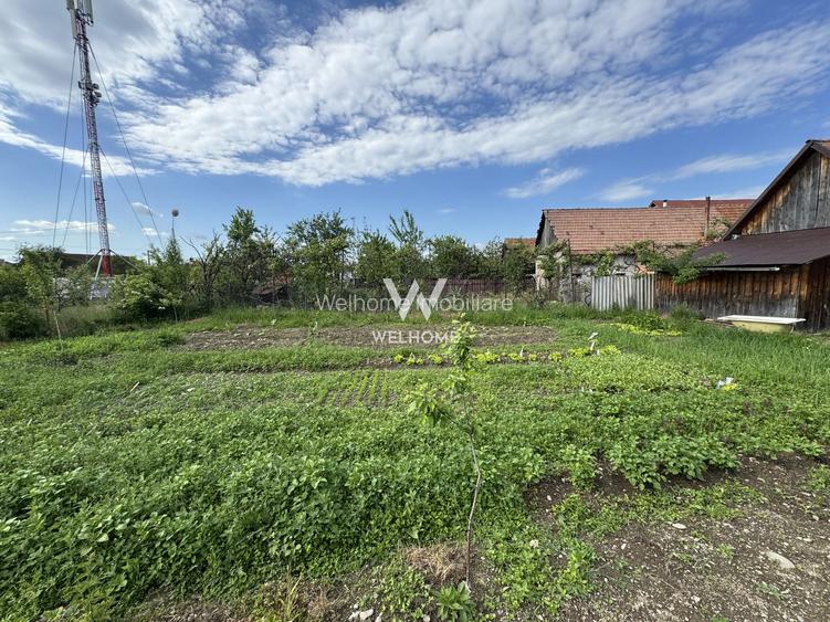 Casa individuala in Arpasu de Sus, teren mare, partial renovata - 29