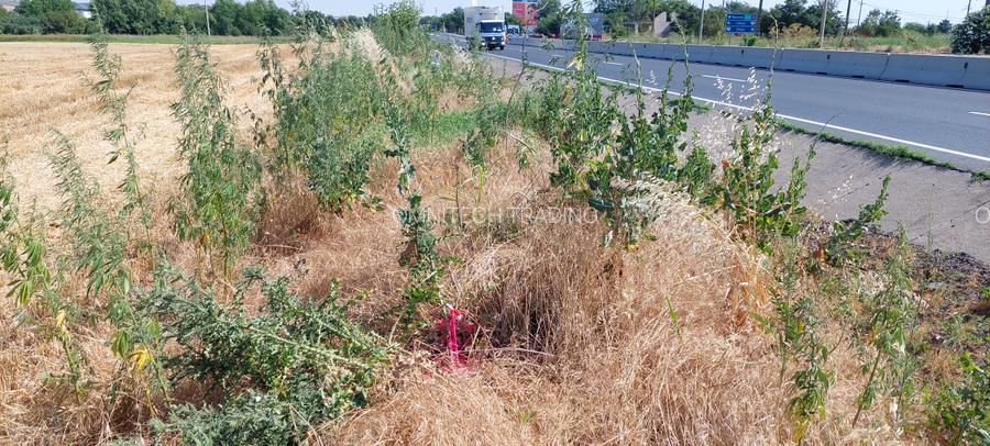 Teren  stradal DN5 Bucuresti -Giurgiu 34.800 mp - 2