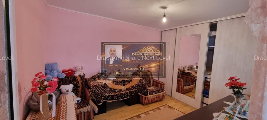 Casa Paunesti/Viisoara/Vrancea/Teren 969 mp - 8