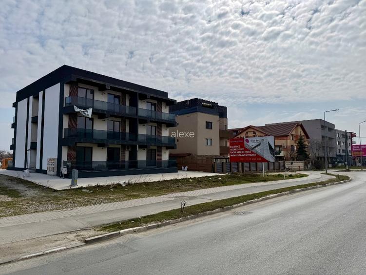 Teren mamaia navodari langa noul kaufland - 4