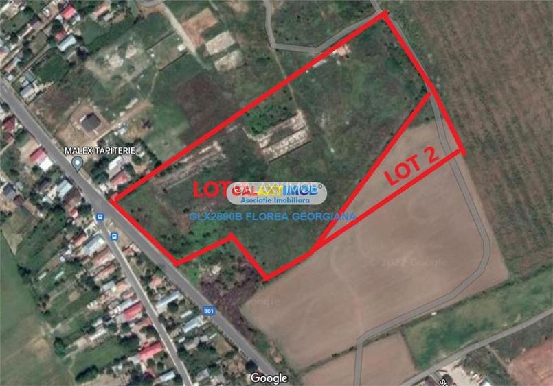Vanzare teren 38.000 mp Tanganu Cernica - 2