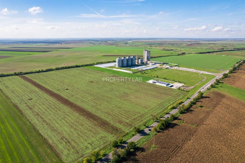 Teren de 104000 mp în Vinga - 3