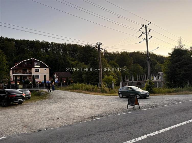 Oportunitate de investitie Cabana Cartisoara Zona Turistica - 41