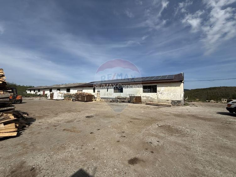 Hala-depozit de vanzare-800 mp-Sic- Investitie - 2