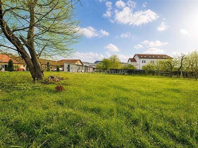 Casa cu  1.924 mp teren, de inchiriat, Sfantu Gheorghe - 3