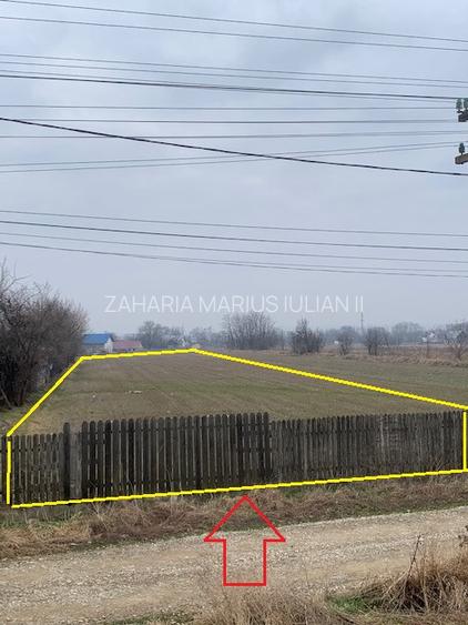 Teren de vanzare 7.123 mp intravilan, Buhusi - 8