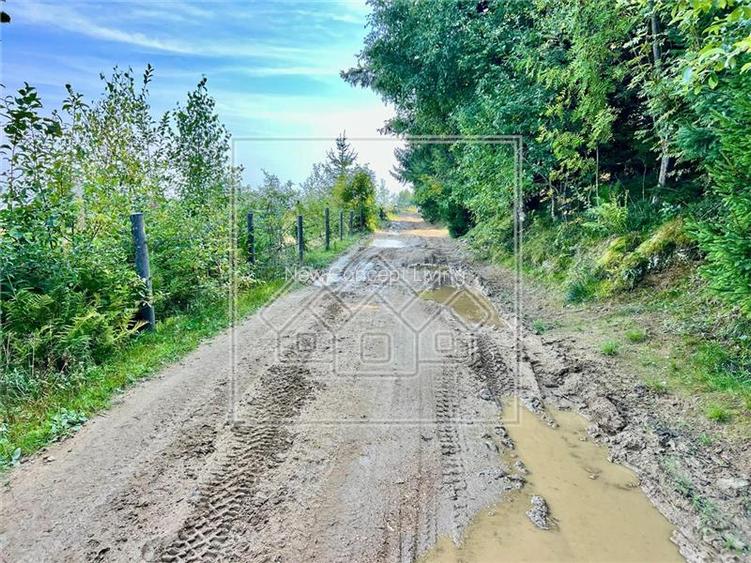 Teren de vanzare - 11200 mp - extravilan - zona turistica - 7