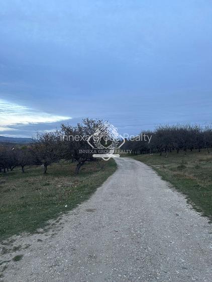 Teren 7199mp Intravilan cu Vedere Panoramica Superbă, Ideal Investitie - 23