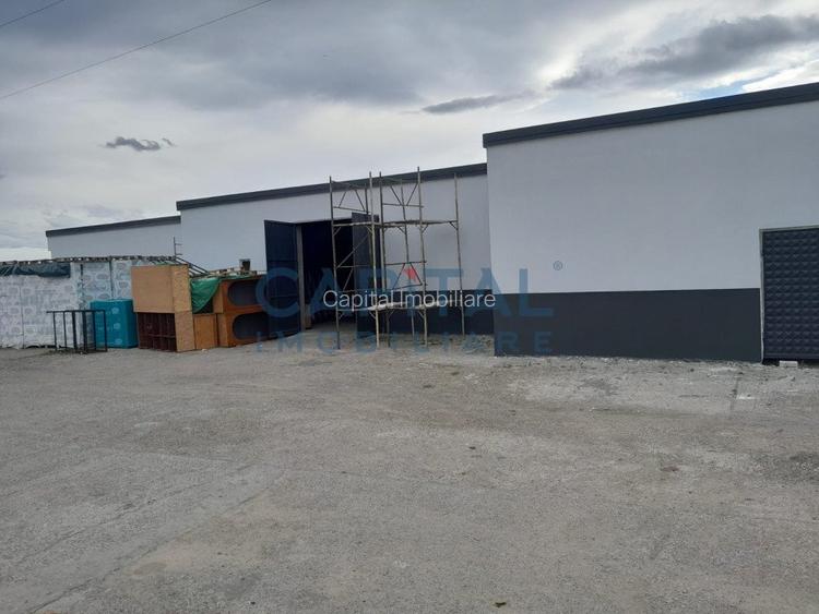 Spatiu industrial de vanzare, 8120 mp, Neamt - 5