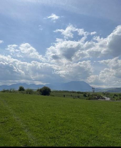 Teren superb cu PUZ in zona Panicel Rasnov spre Bran - 2