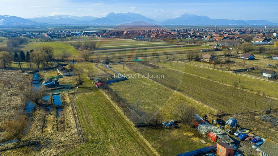 Teren Intravilan 5.000 mp Prejmer -  Strada Preot Ioan Popescu - 5