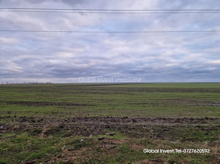 Corbu- Teren 2500mp la intrare in localitate pe dreapta - 10