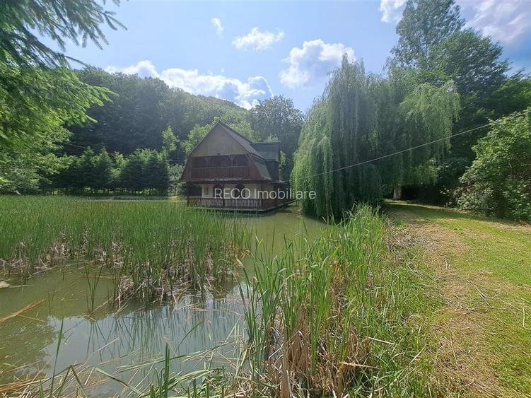 Cabana pe apa in Padurea Neagra - 4