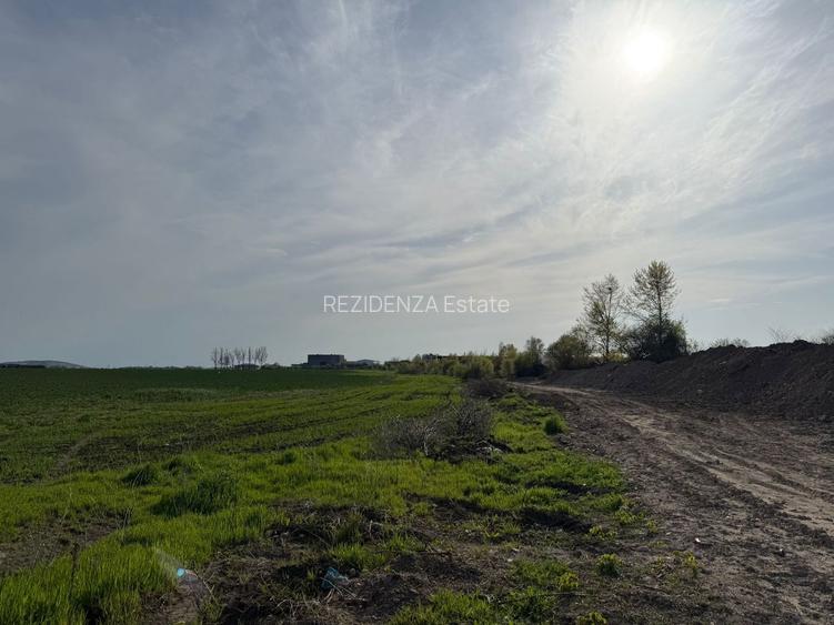 TEREN INTRAVILAN 3700MP METROU BERCENI - 5