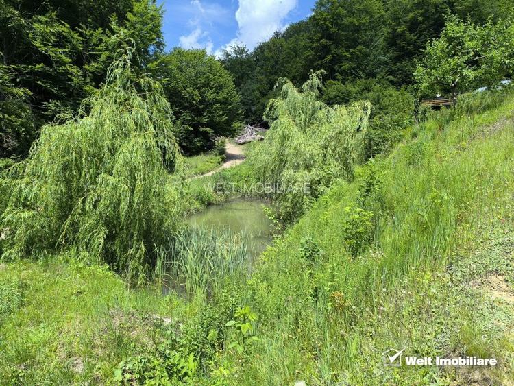 Casa de vacanta, cu lac, 5640 mp teren, Huta, com. Chiuiesti, jud. Cluj - 32