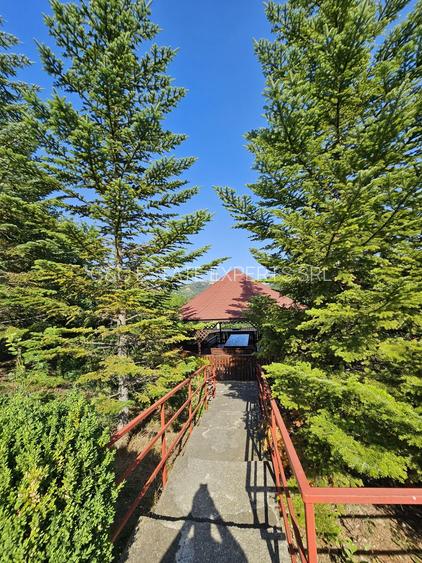 Vila superba de vanzare in Vintila Voda, Buzau D+P+1 si anexe - 15