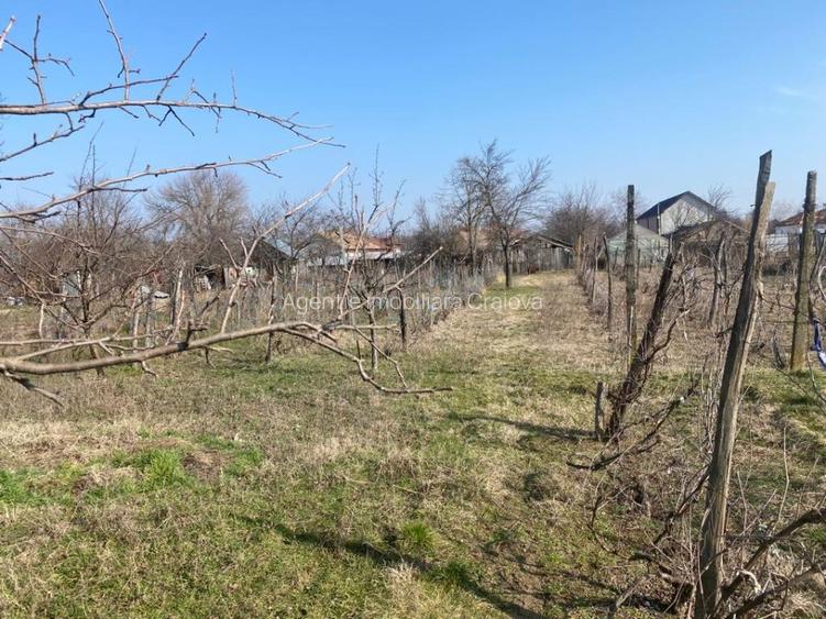 Vanzare casa batraneasca 2 camere + teren 1100mp in comuna Teslui, Olt - 3