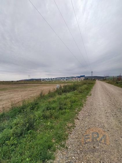 Teren Osorhei, Str. 610 - 4