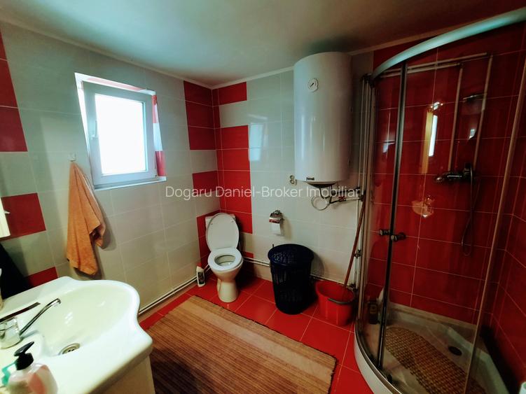 Ilia, proprietate deosebita - 6