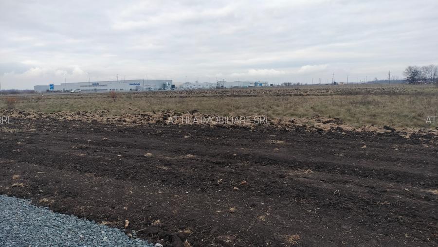 Inchiriez teren 4310 mp in Ghiroda - 5