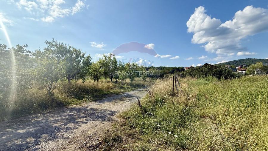 Teren Tautii-Magheraus - 2