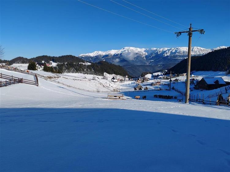 Teren Intravilan Fundata 1421Mp - 3