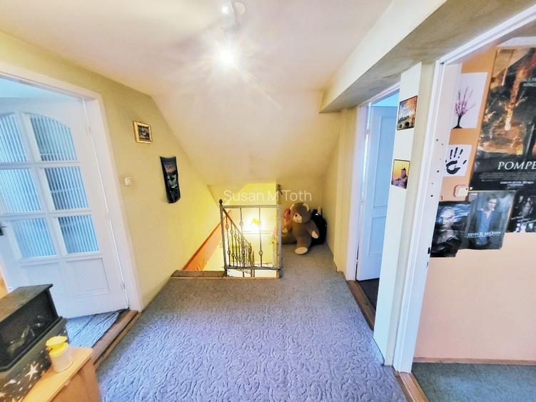 Domeniu premium aproape de granița româno-ungară –în Battonya - 10