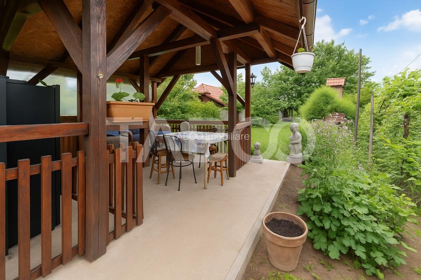 Casa de vanzare Vasile Aaron 3 camere si teren / curte comuna 1 vecin - 13