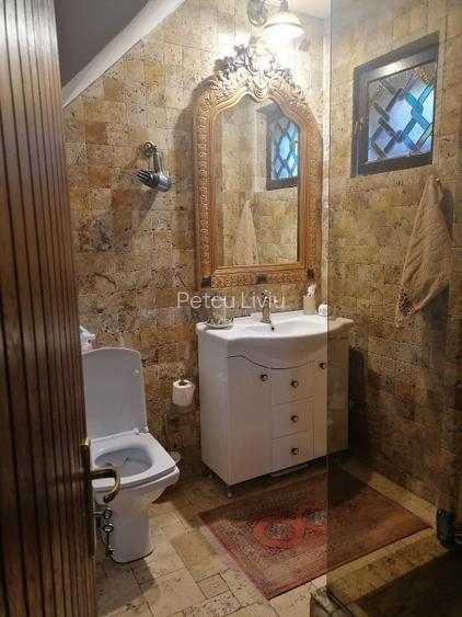 COTROCENI - Aici a visat și a creat pictorului Zamfir DUMITRESCU - 7