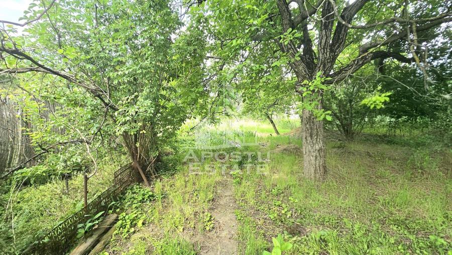 Casa individuala 3 camere, teren 678 mp Parneava - 13