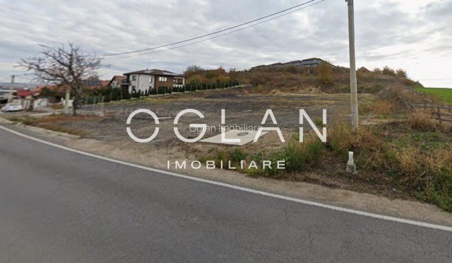 Teren Imprejmuit, la sosea (DN14)- SURA MARE - 4