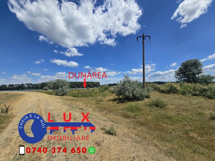 ID 7566 Teren în Delta Dunării – DESCHIDERE LA DUNĂRE - 3