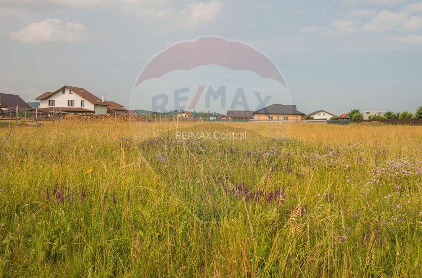 Teren Bod -Strada Harmanului, 732mp, posibil 1098mp/ 2196mp, utilitati - 5