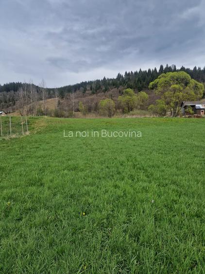 Vindem teren in Vatra Moldovitei - Bucovina - 6