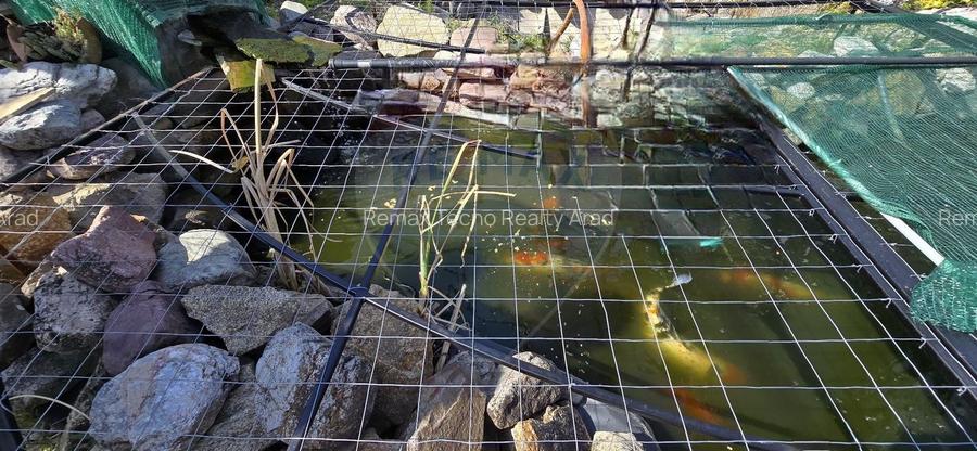 Casă cu etaj deosebită în Chișineu-Criș – un cămin creat cu suflet - 28