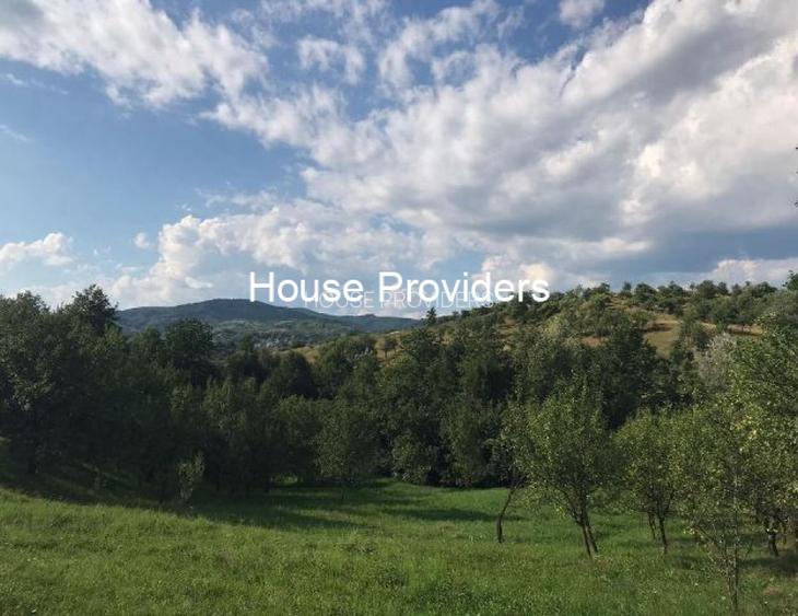 Vanzare Terenur Drajna  Prahova - 9