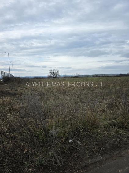 Teren intravilan Vaslui Strada Dimitrie Cantemir - 2