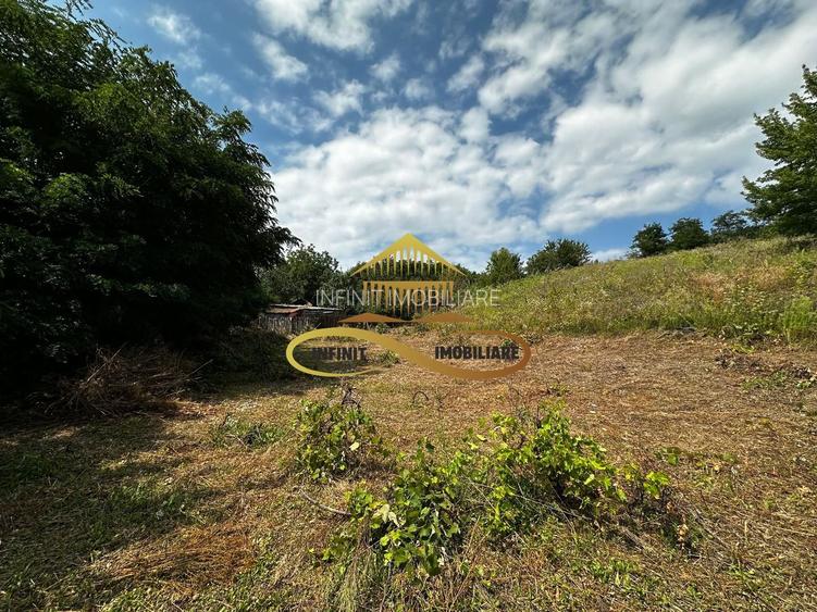 Teren extravilan 1870 mp-de vanzare 14€/mp Sohodol / Bacau - 5