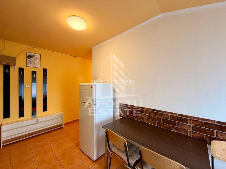 Apartament 2 camere, de inchiriat, zona Sagului, Timisoara, Timis - 9
