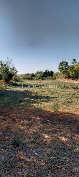 Teren  Istria 2000 mp - 5