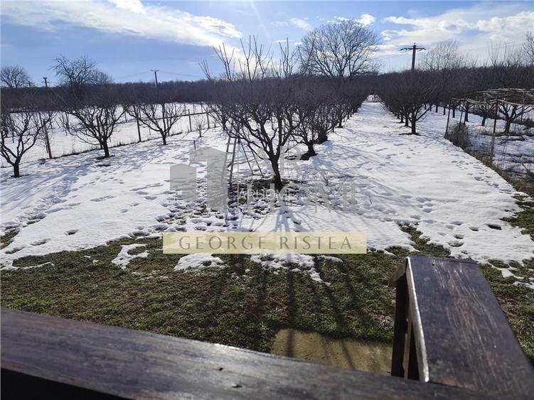 Casa + anexe 2756 mp teren Baicoi zona Tufeni - 8