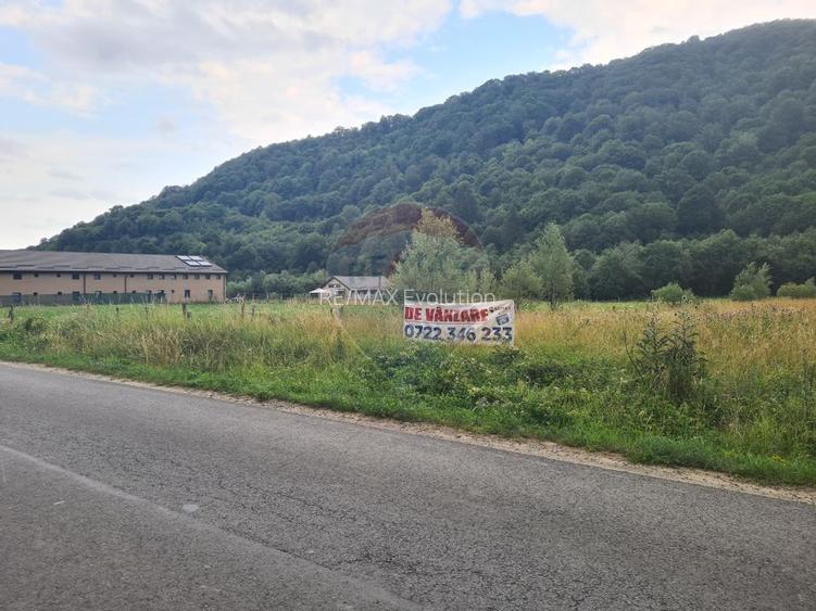 Teren extravilan, 2500 mp, Râșnov, Glăjărie - 5