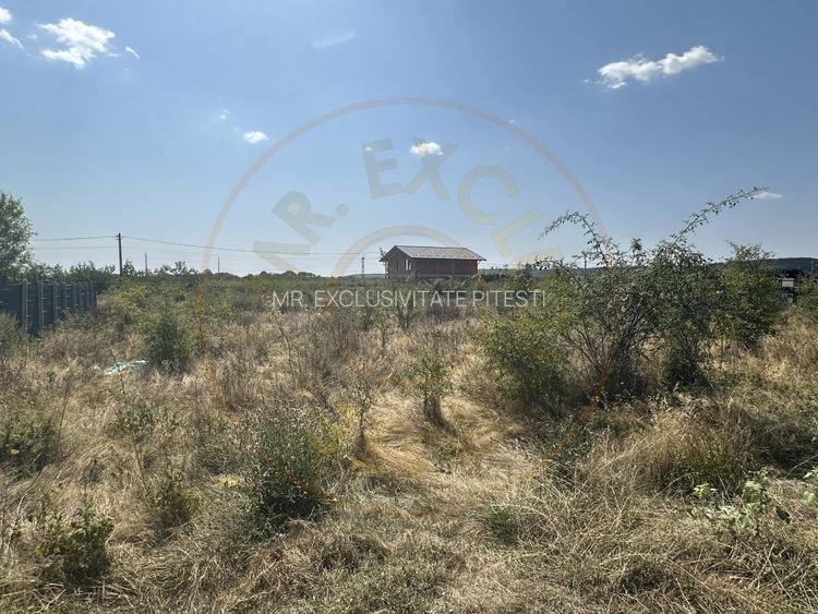 Teren Intravilan Magic Trivale - Aleea Bradului  1040 mp - 2