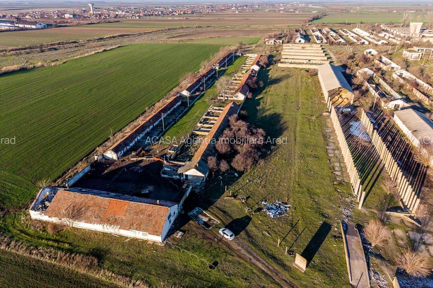 Ferma 1.15 HA lângă DN7 & Autostrada E68 – Nădlac | clădiri+utilități - 5