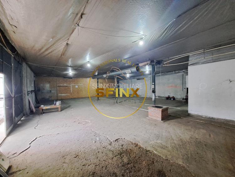 Hale de inchiriat Doamna Ghica, Baicului, ideal depozitare - 2