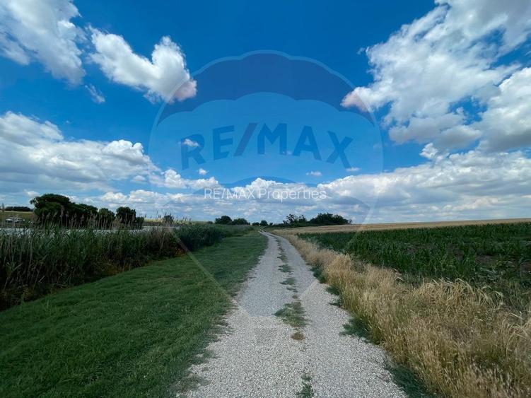 Teren 4.350 mp Balta Pasarea - 30 minute Bucuresti - 3